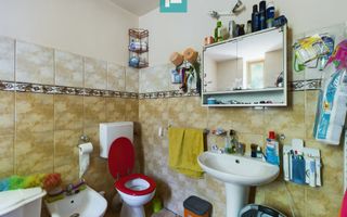 Casă cu livadă de pomi în Dorobanți - Poză 12