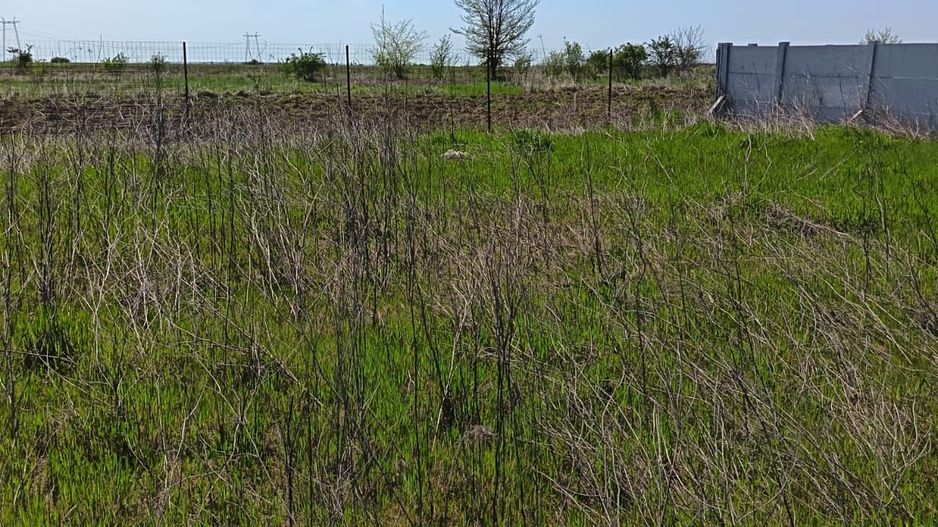 Teren de vânzare – Mihăilești | Oportunitate de investiție - Poză 6