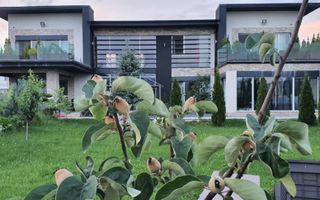 Vila ultrafinisata 550 mp utili si 2000 mp teren amenajat in Sibiu - Poză 2