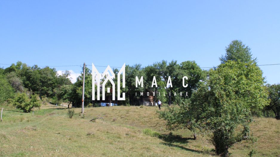 Terenuri Carpinis I parcelabil I Curent pe proprietati - Poză 17