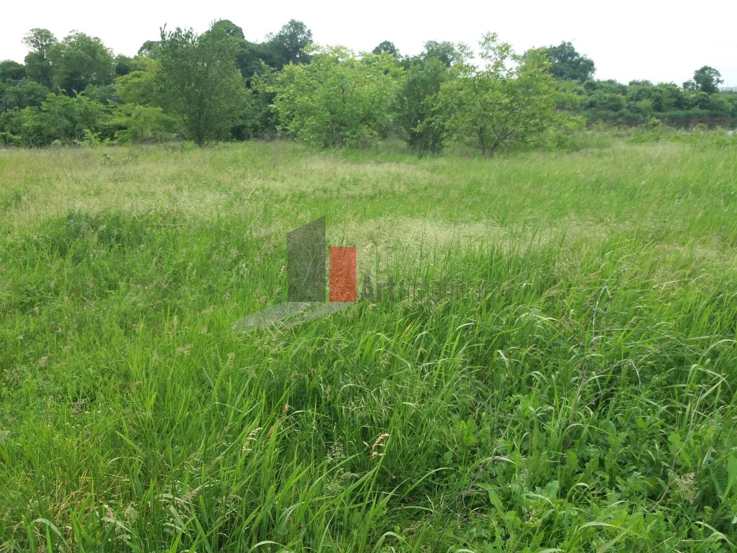 Teren Buftea cu iesire la lac - Poză 17