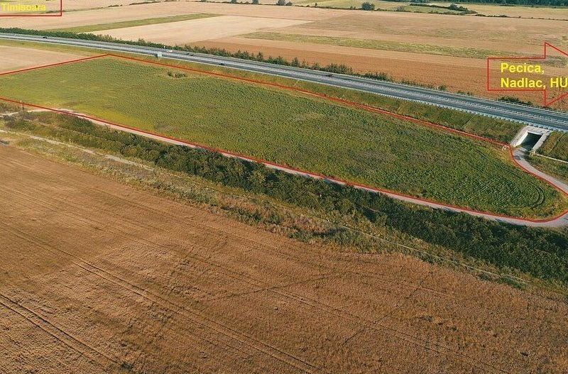 De vanzare potential teren industrial, llogistica Pecica - Poză 1