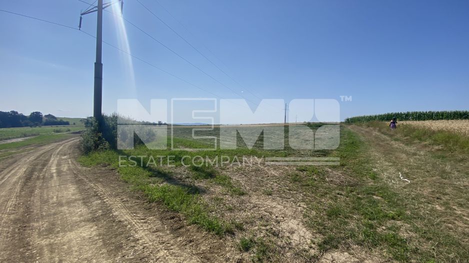 Teren Tarinca | 3400 MP | Front 24 Metri - Poză 3