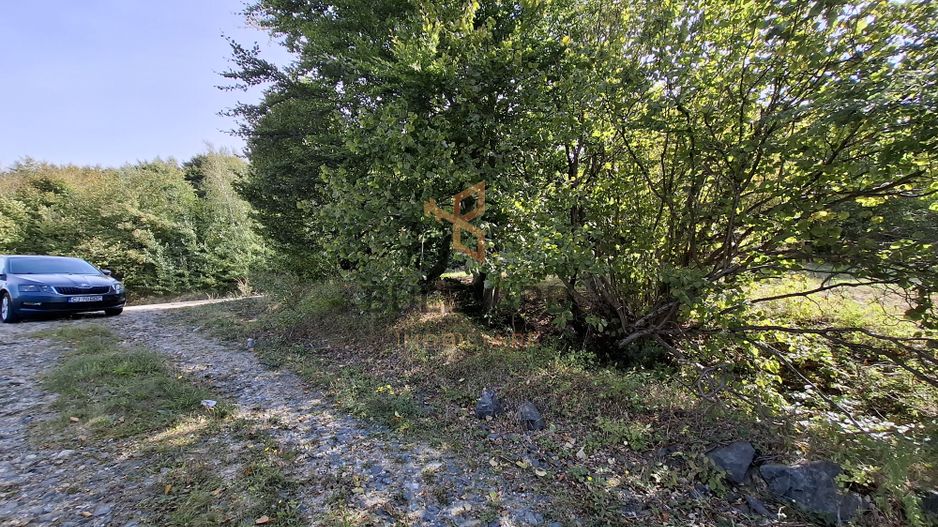 Comision 0. Teren cu autorizatie de construire in Salicea - Poză 6