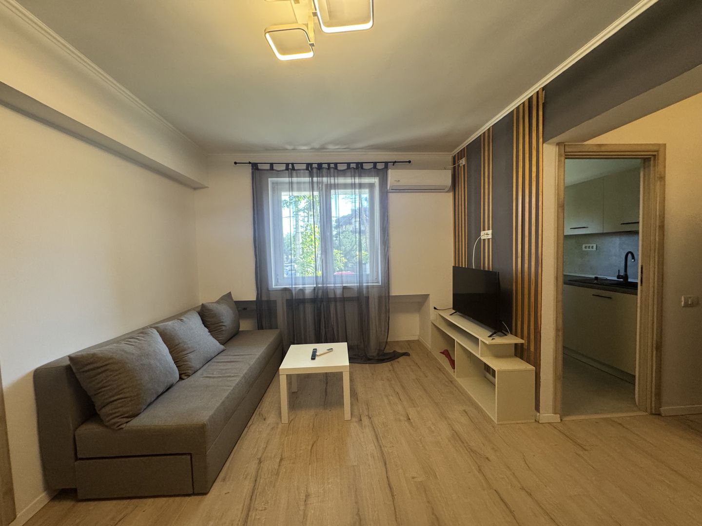 3 camere| ION MIHALACHE - Poză 2