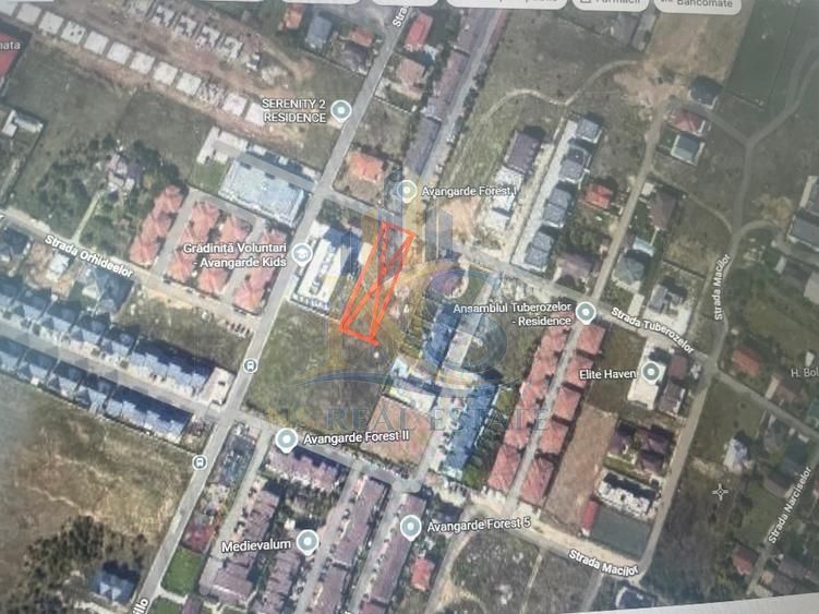 Teren zona Matei Milo I Voluntari - Poză 2