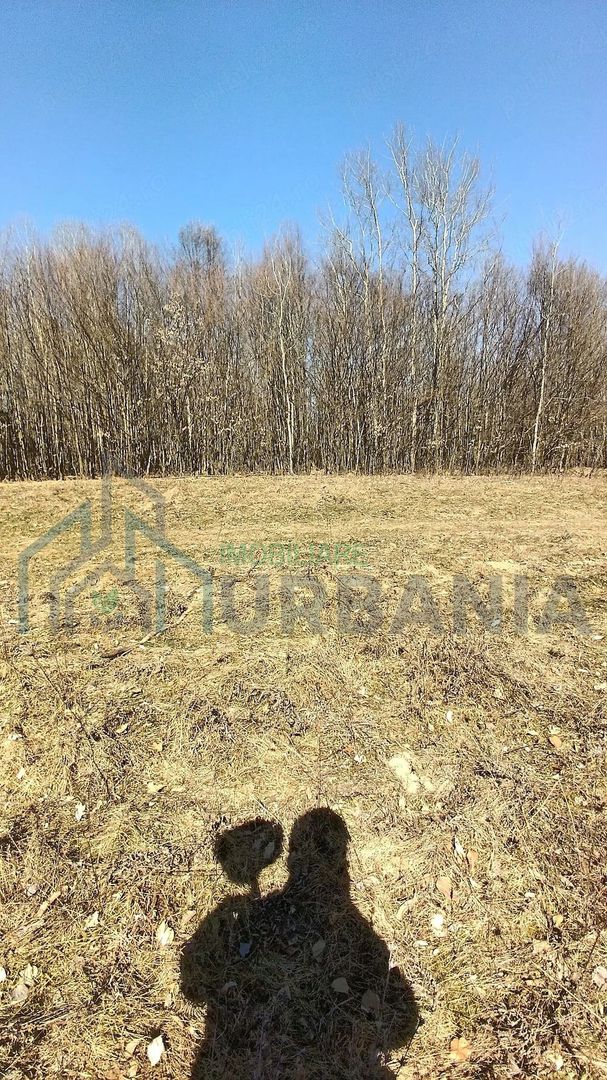 Teren forestier de vânzare, 1 ha, județul Neamț, comunele Rediu Borlești, OS Tazlău - Poză 7
