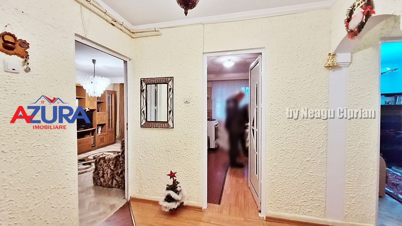Vanzare apartament 3 camere, Banat - Poză 10