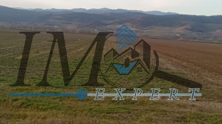 Teren intravilan de vânzare in Vintu de Jos - Poză 2