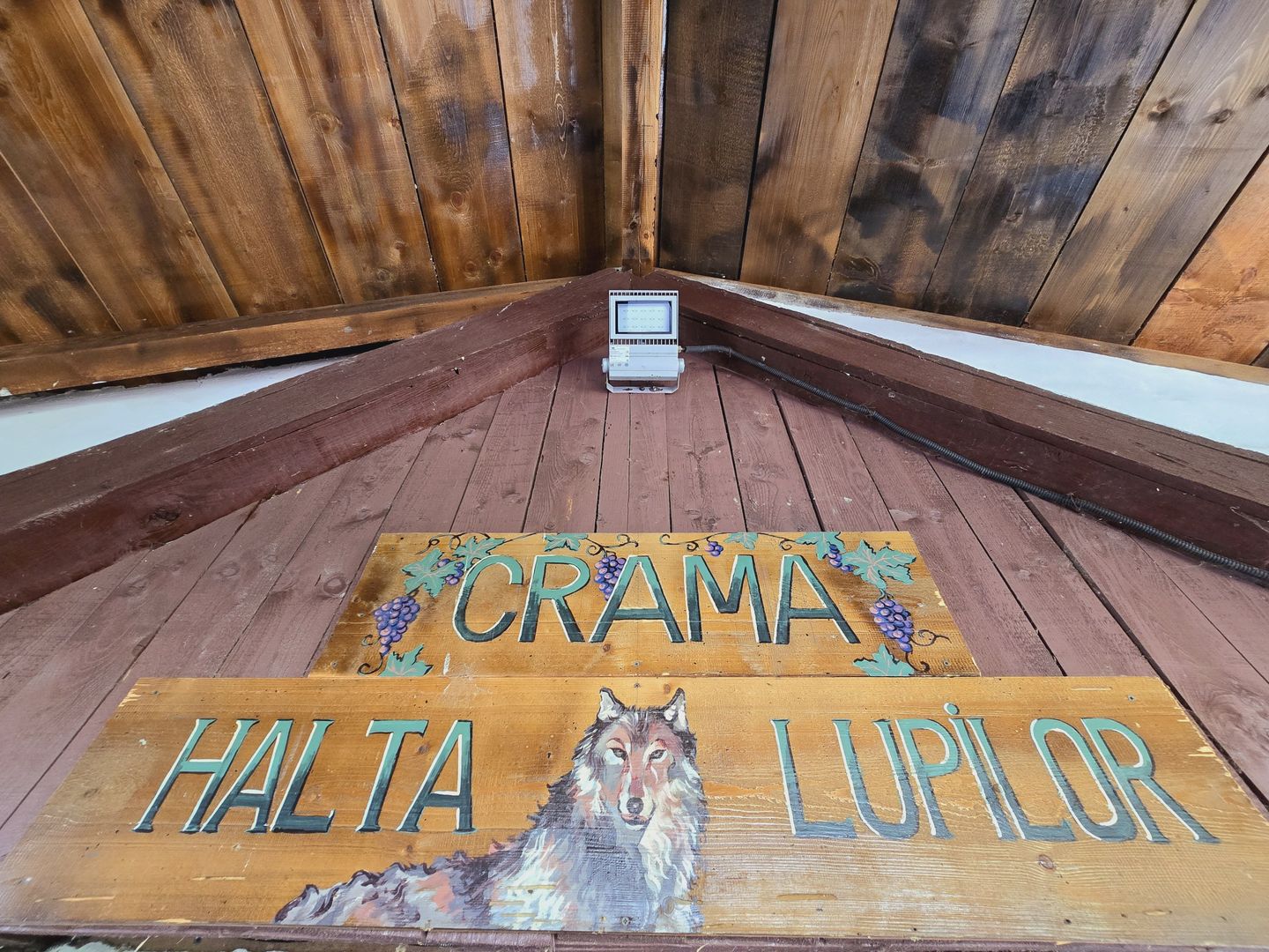 Vie Tradițională „Halta Lupilor” - Poză 2