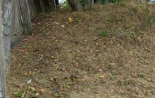 Teren de vânzare, suprafață 1040mp - Poză 4