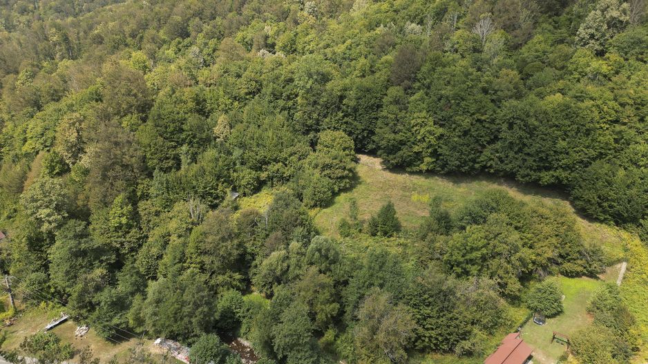 Teren intravilan de 1500 mp pe deal în Moneasa - Poză 6