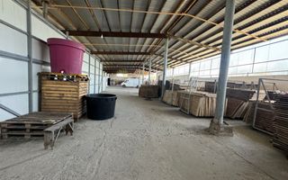 Fabrică funcțională cu profit și acces direct la R2 - Poză 13