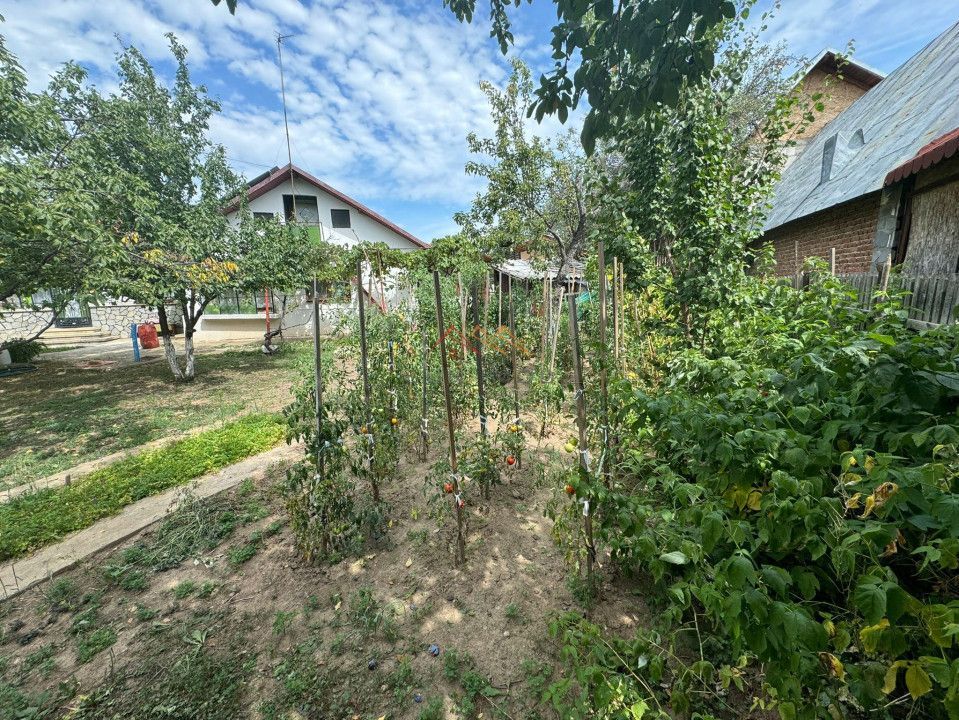 Casa 4 camere, 536 mp teren, toate utilitatile, Urleta, Prahova - Poză 9