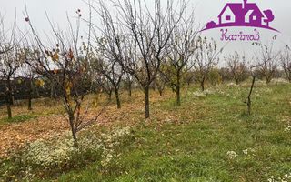 Parcela de teren Nojorid - Poză 2