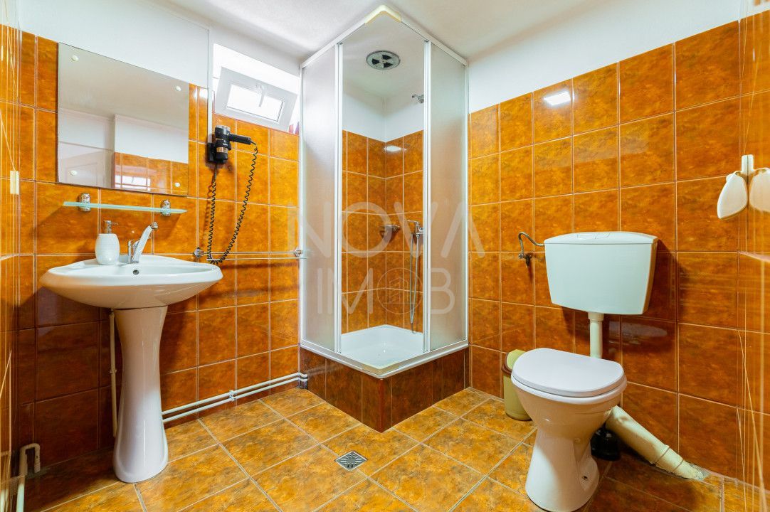 Casa + Pensiune deosebita - Orlat, Sibiu - Poză 42