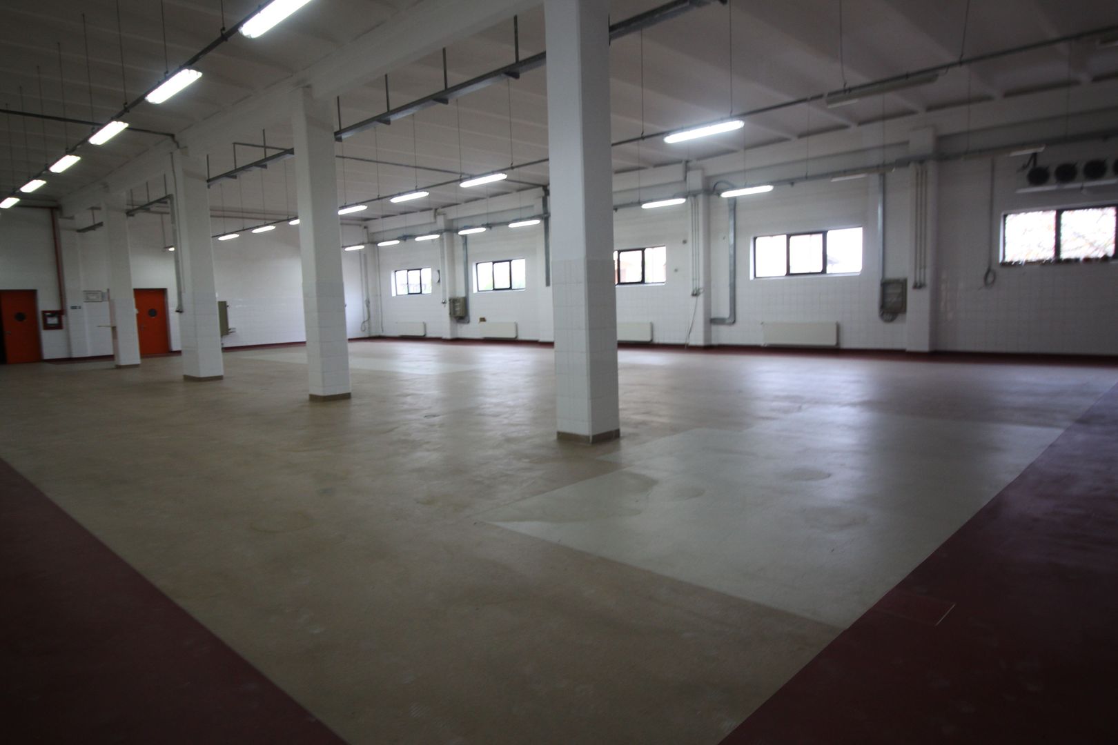 Hala productie    - Calea Torontalului de vanzare - Poză 7