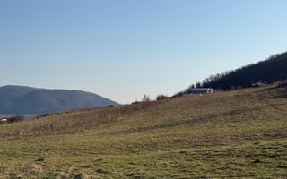 ​Oportunitate Investiție: Teren Intravilan 4.100 mp – Viișoara - Poză 3