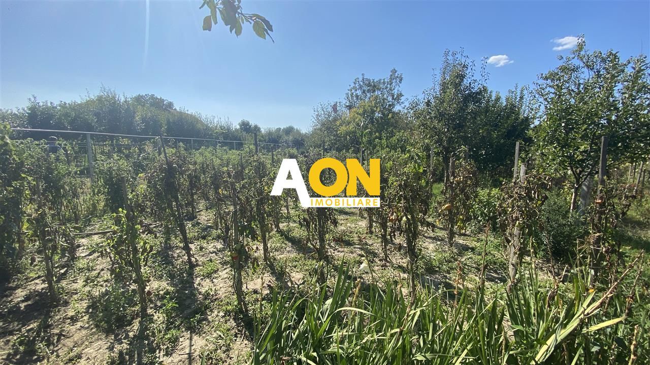 Casa Individuala Renovata cu 1600mp Teren - Poză 3