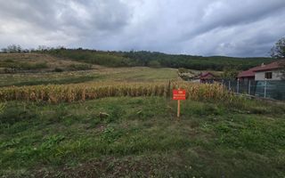 Teren Intravilan 5650mp Hapria, la Drum Principal - Poză 1