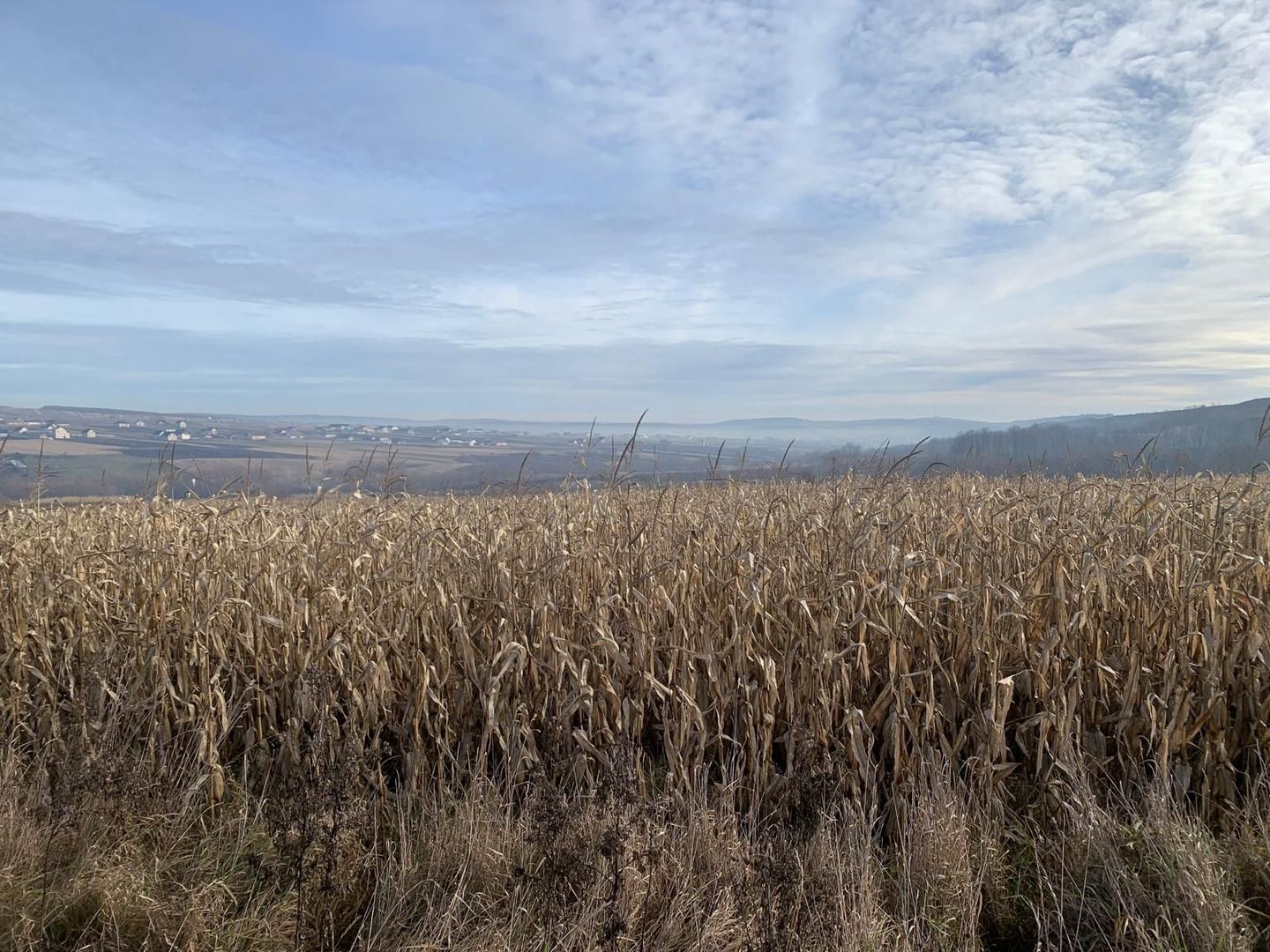 Teren intravilan de vânzare | Cajvana | 7.800 mp - Poză 1