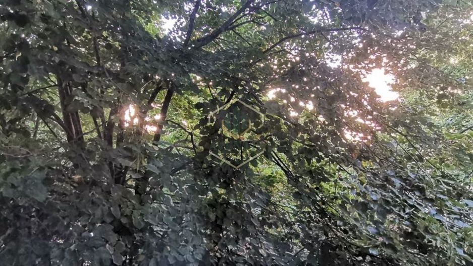 Inchiriere apartament 2 camere, intersectia Iancului - Poză 5