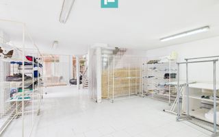 Spațiu comercial / producție cu potențial multiplu - Poză 8