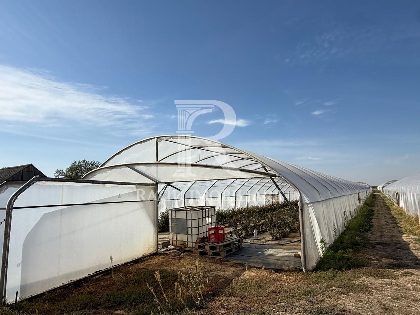 Teren intravilan agricol | 7029 mp | Satu Nou | Bihor - Poză 4