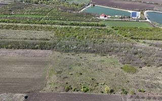 Teren 88 ari, Drăsliceni, Criuleni - Poză 9