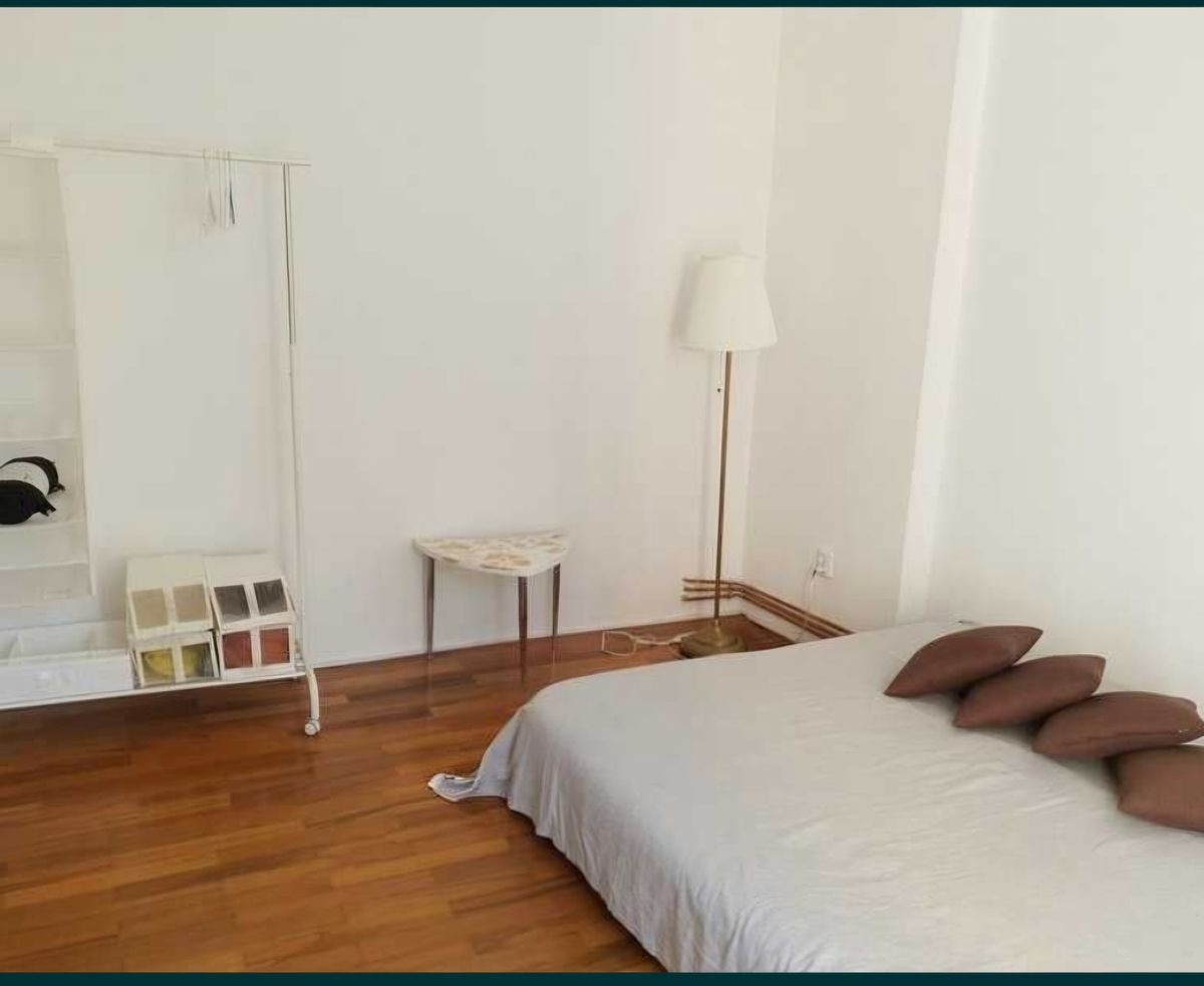 Apartament cochet 2 camere  Cișmigiu/Sala Palatului - Poză 5