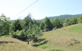 Terenuri Carpinis I parcelabil I Curent pe proprietati - Poză 19