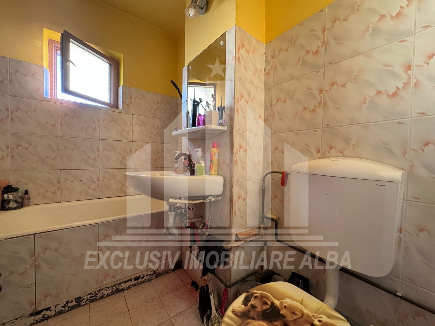 Apartament cu 2 camere decomoandate, Industriala - Poză 6