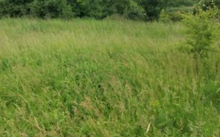 Teren Buftea cu iesire la lac - Poză 31