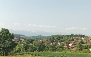 Casa Saseasca de vanzare  in  Somartin  / Comision O % - Poză 27