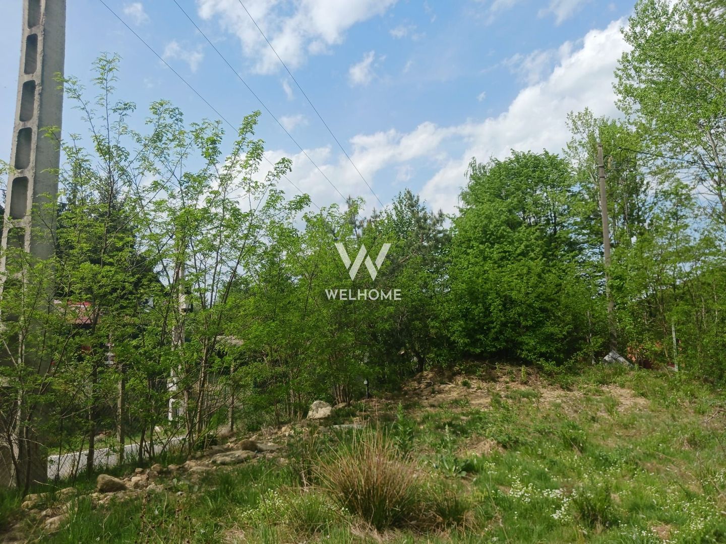 Teren pentru cabana, Marajdie deschidere la rau Gura Raului Sibiu - Poză 3