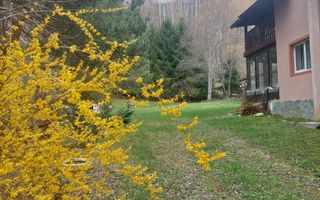 CASĂ DE VACANȚĂ 5 CAMERE,POINANA MĂRULUI, JUD.CARAȘ-SEVERIN - Poză 2