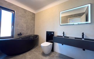 Proiect modern Dumbravita - Poză 18