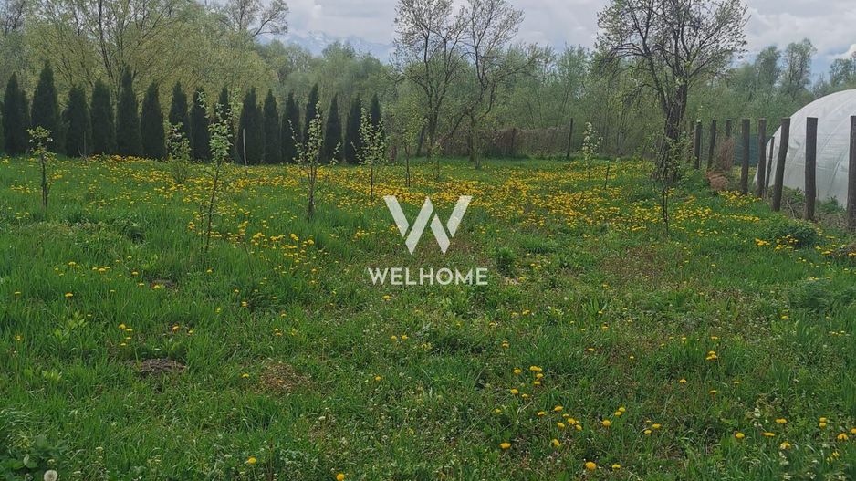 Casa noua, inconjurata de natura in Colun - Sibiu - Poză 12