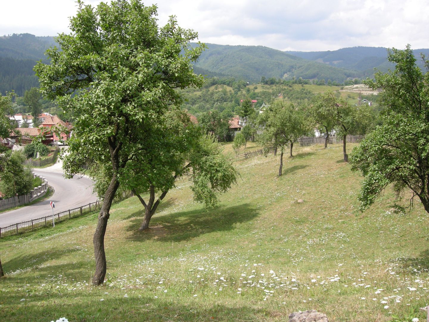Teren intravilan 3214 mp în Rucăr cu deschidere 56 m în DN73 - Poză 1