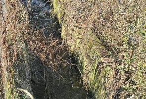 Proprietate de excepție în Lelești – la doar 8 km de Târgu Jiu - Poză 42