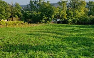 casa batraneasca de vanzare - Poză 5
