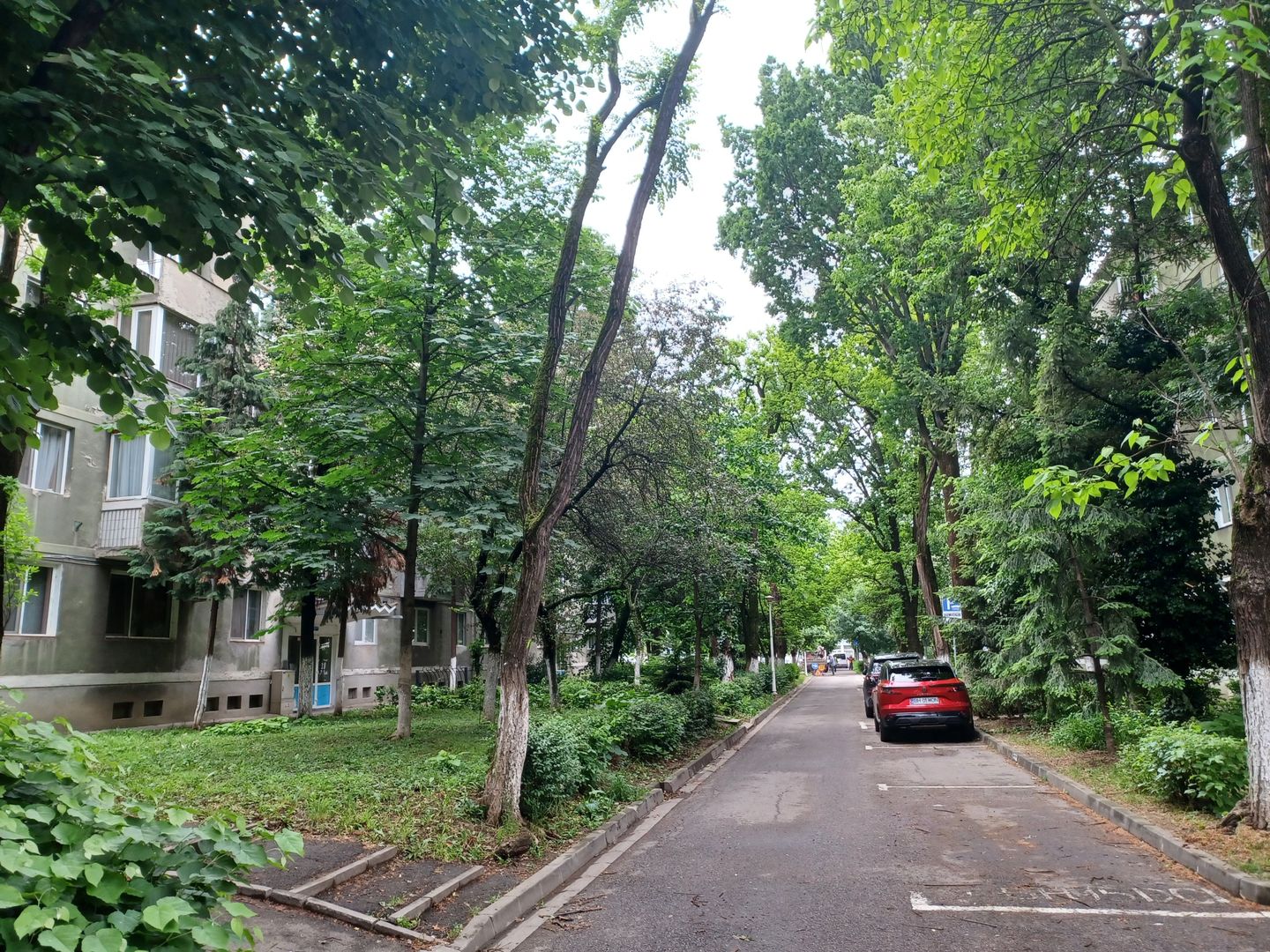 Apartament 2 cam, P-ța București. 65 000 E. Comision 0 - Poză 1