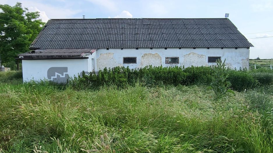 FERMA ZOOTEHNICA DE VANZARE - Poză 6