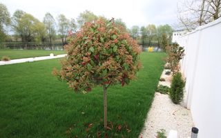 Casă / Vilă cu 8 camere de vânzare în zona Est - Poză 17