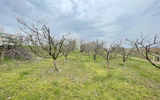 Teren Intravilan I 24 Ari I Suceava/Lisaura 10.000E/Ar - Poză 3