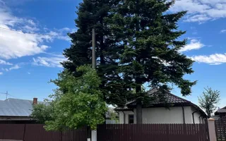 🏡 CASĂ + TEREN INTRAVILAN 4.971 MP – URECHEȘTI, VRANCEA - Poză 12