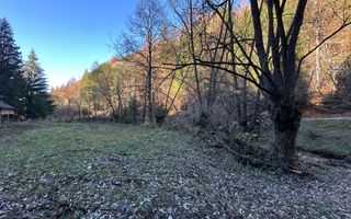 Teren 2.882 mp – oportunitate investitie - Cheile Dâmbovicioarei - Poză 10