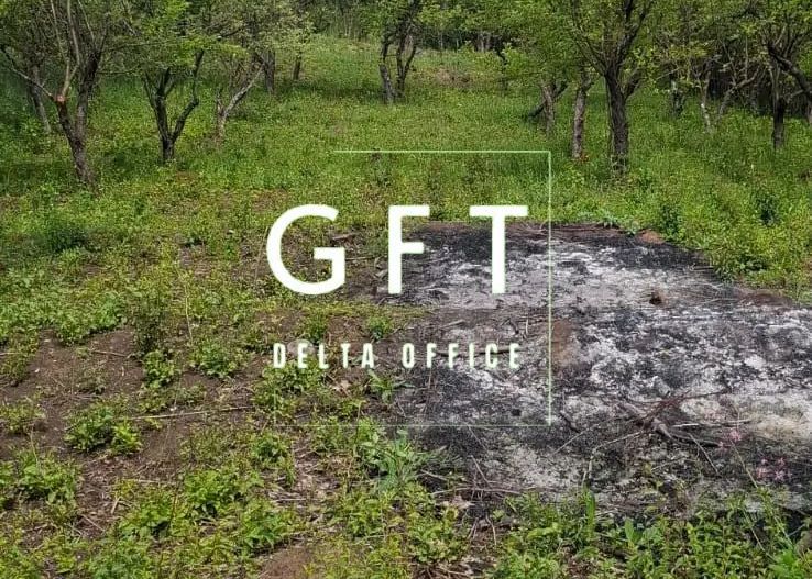 De vanzare! 3 parcele de teren intravilan - Poză 4