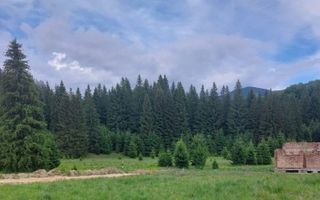 Teren intravilan în Poiana Brașov, 0% COMISION - Poză 5