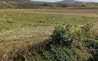 Teren 7.400 mp, deschidere 40 m la DN11, Târgu Trotuș - Poză 1